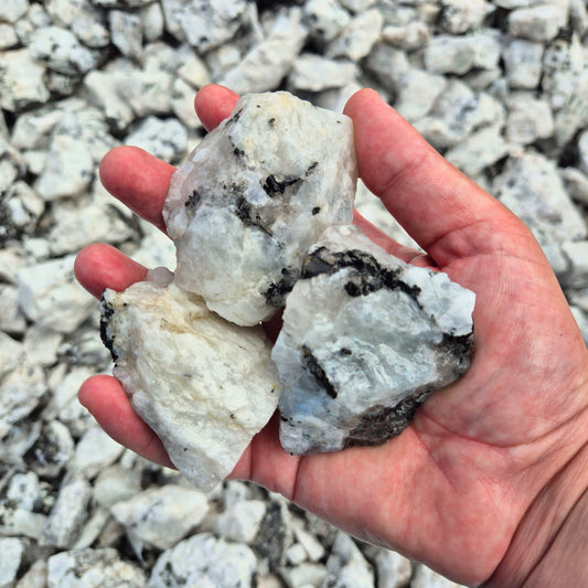 LARGE RAINBOW MOONSTONE Rough by Weight, India ZRR016