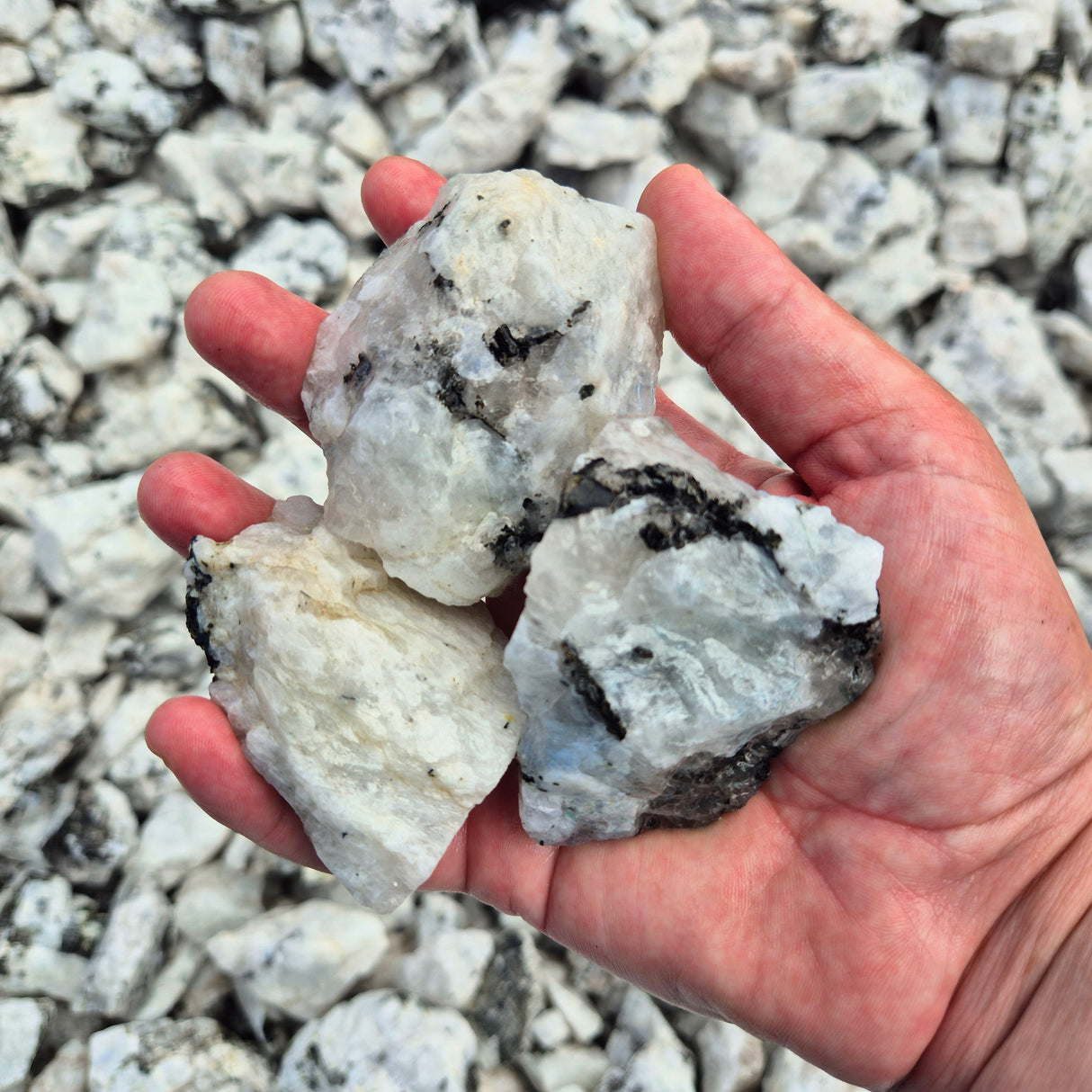 LARGE RAINBOW MOONSTONE Rough by Weight, India ZRR016