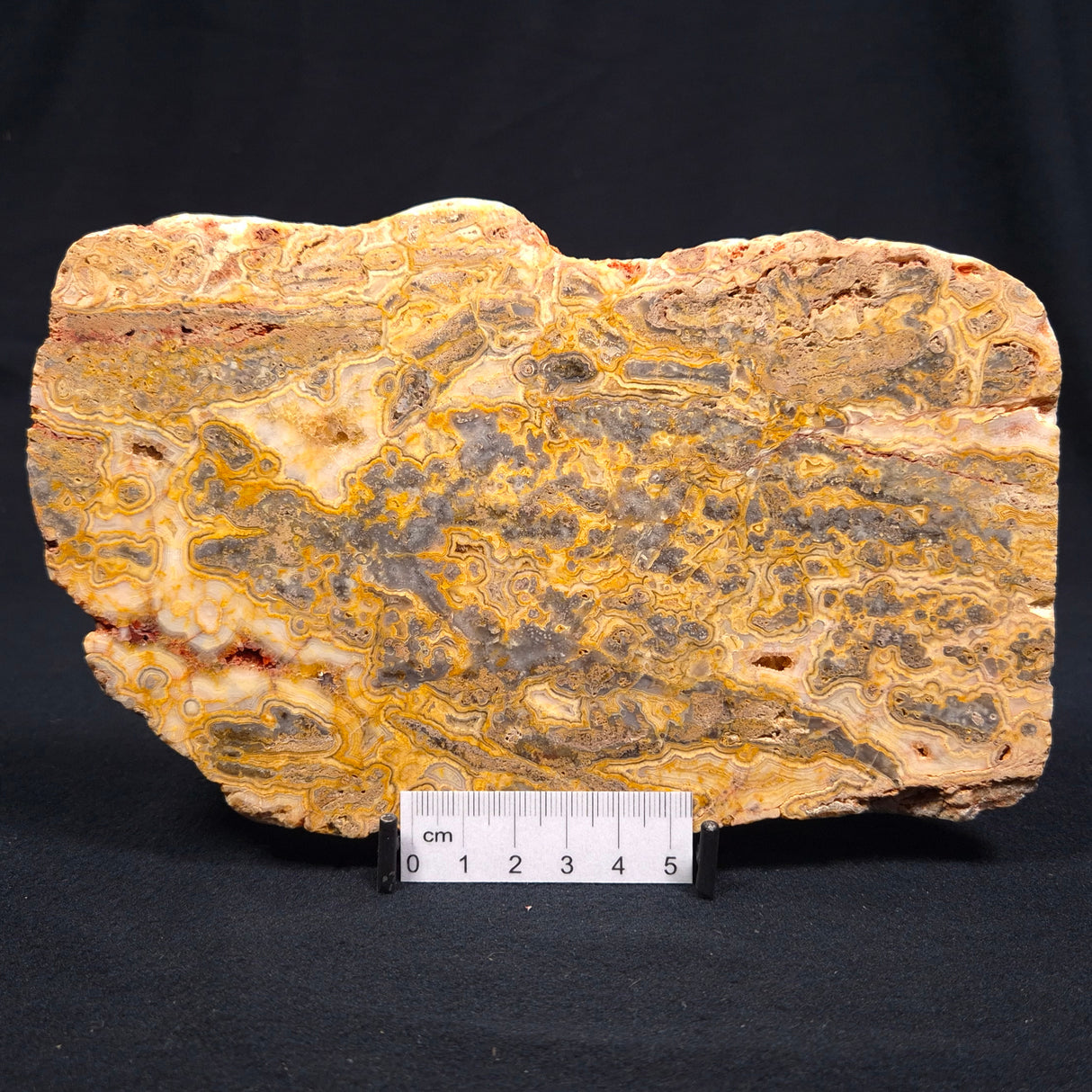 CRAZY LACE AGATE, Australia YSC020