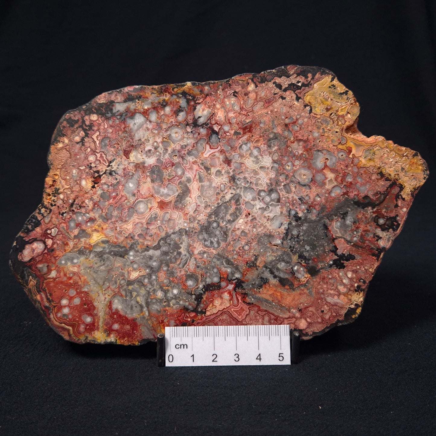 CRAZY LACE AGATE, Australia YSC023