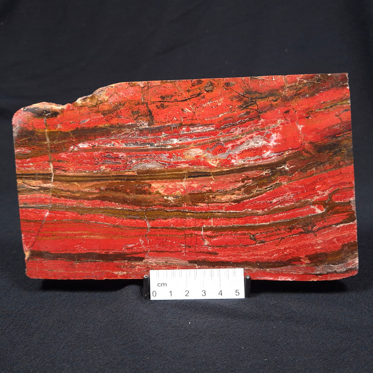 BANDED JASPER WITH HEMATITE, Australia YSC030