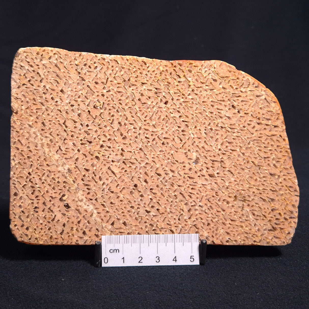 GRAPHIC FELDSPAR WITH SMOKY QUARTZ, Australia YSC032