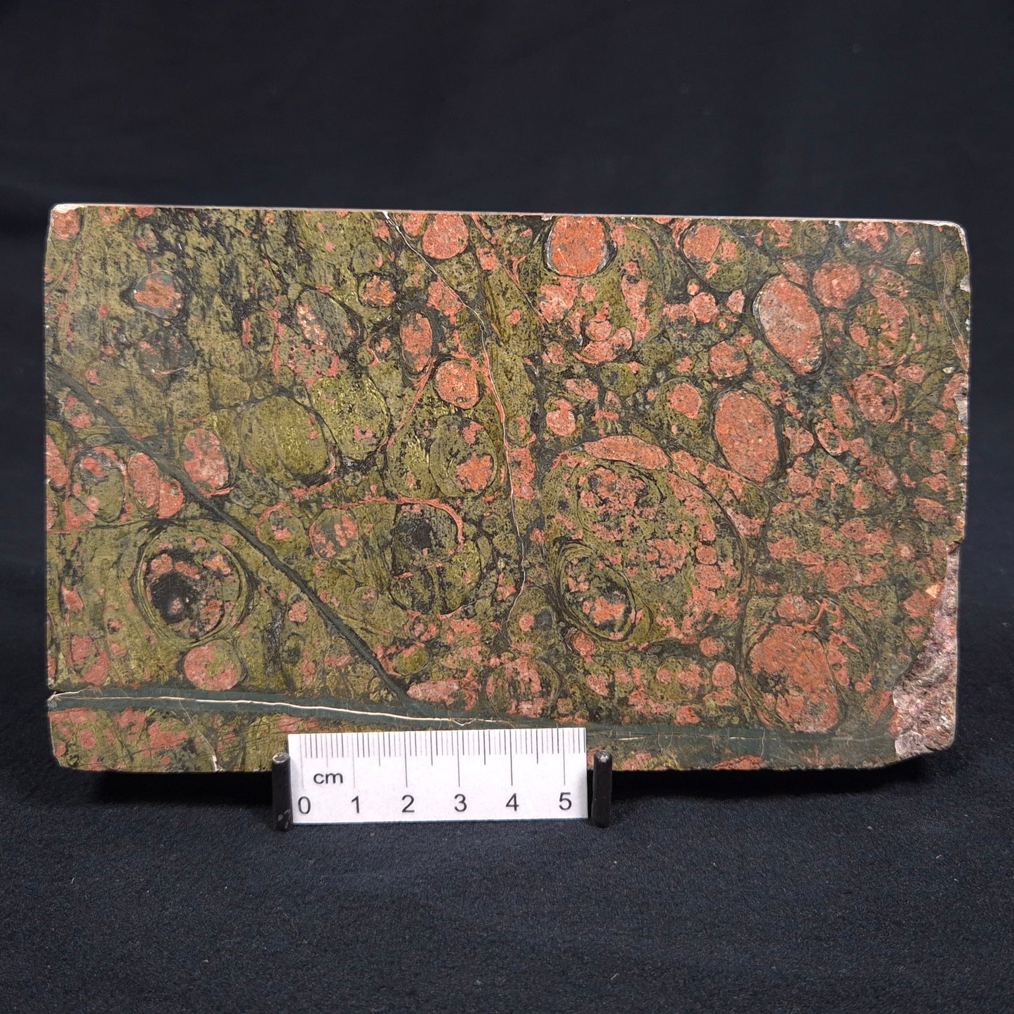 RHYOLITE (RAINFOREST JASPER), Australia YSC034