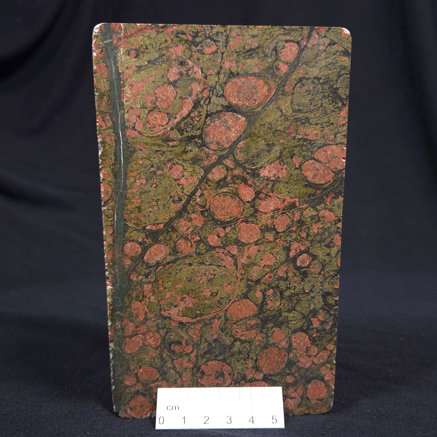 RHYOLITE (RAINFOREST JASPER), Australia YSC035