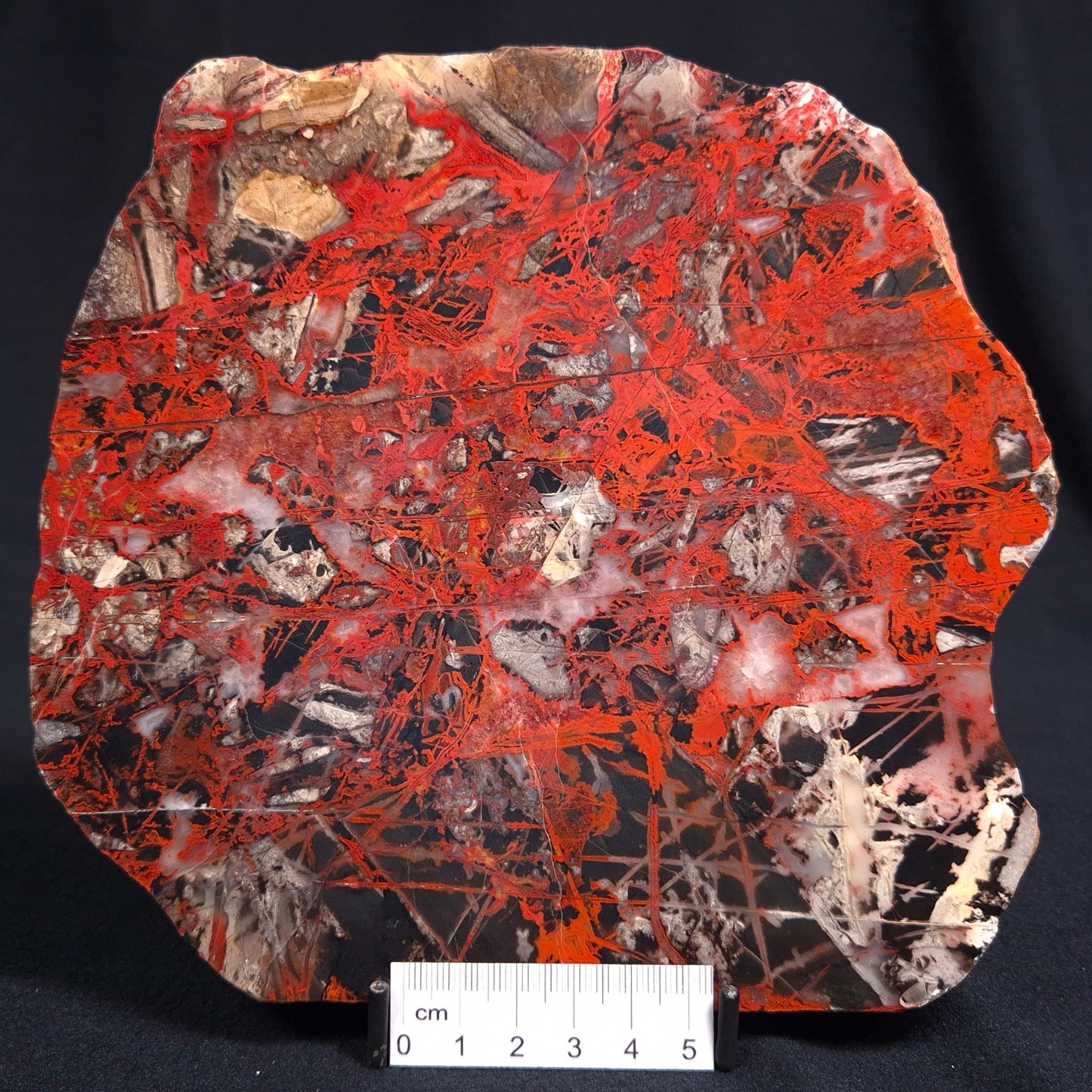 PILBARA PICASSO JASPER, Australia YSC039
