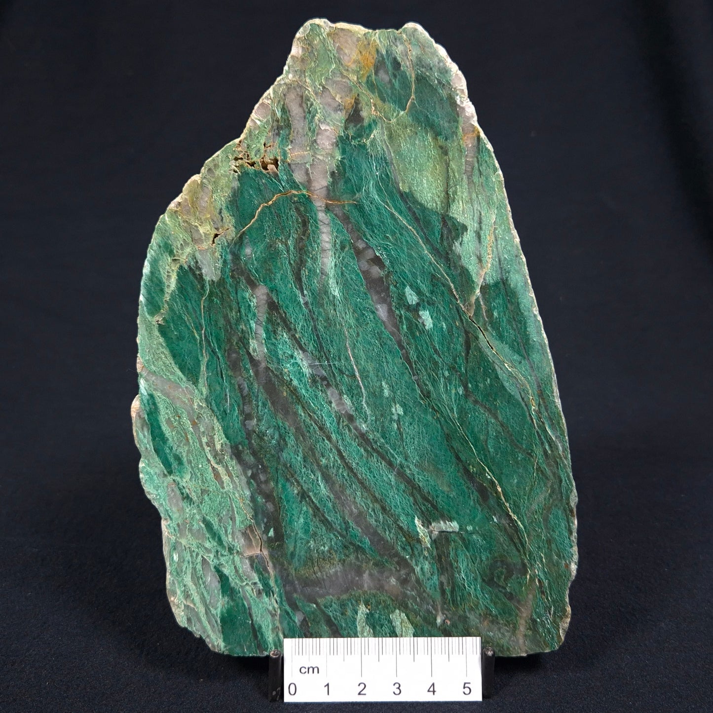 FUCHSITE, Australia YSC041