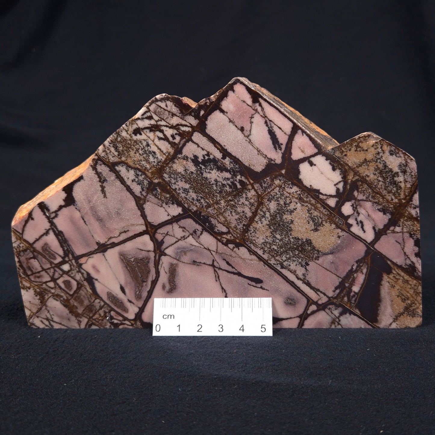 OUTBACK JASPER, Australia YSC045