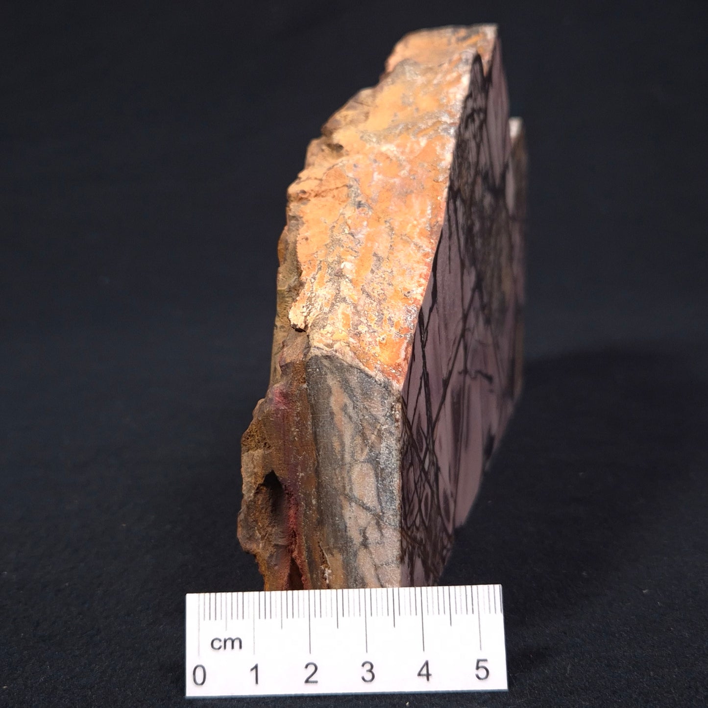 OUTBACK JASPER, Australia YSC045