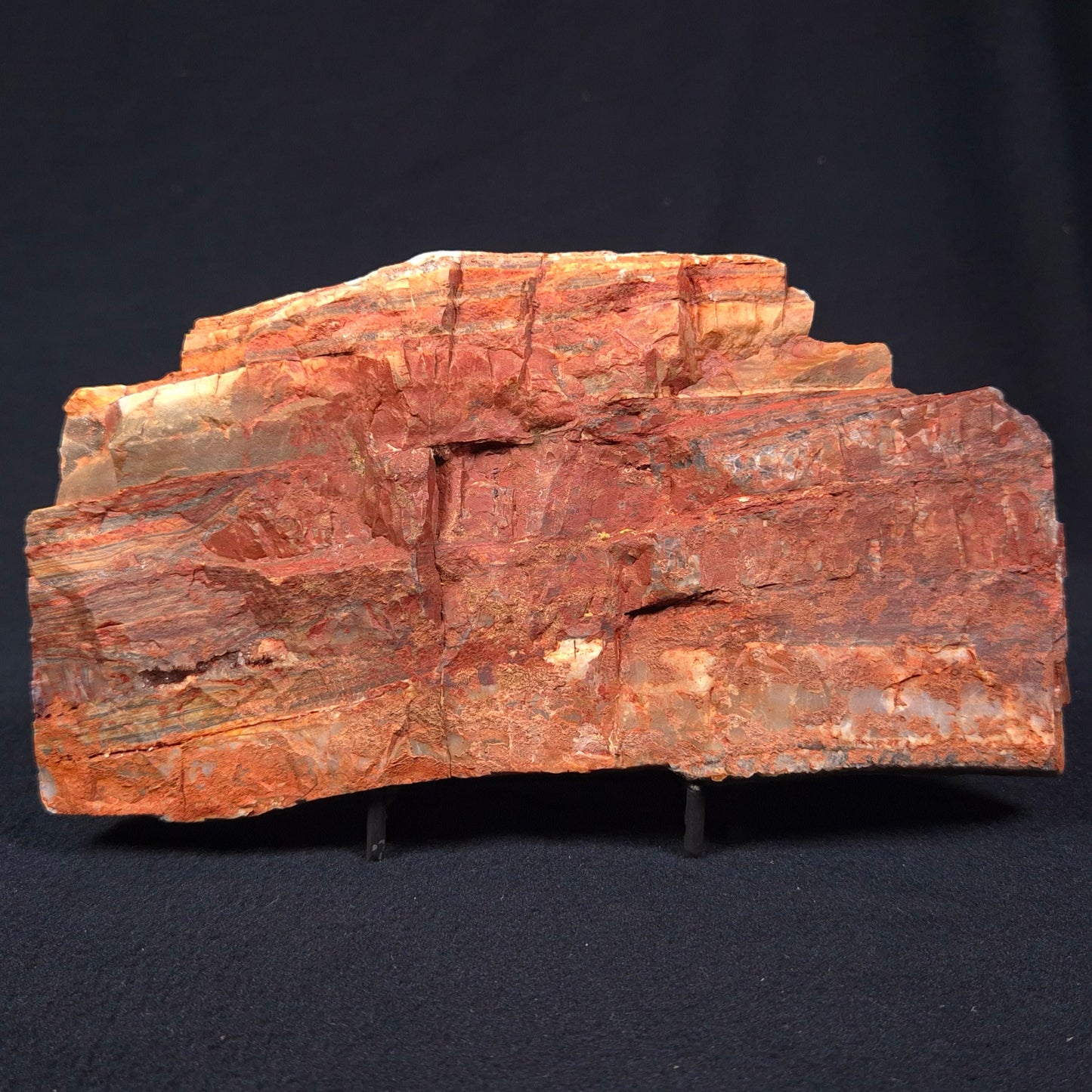STROMATOLITE, Jerrinah Formation, Proterozoic, Australia ZJF001