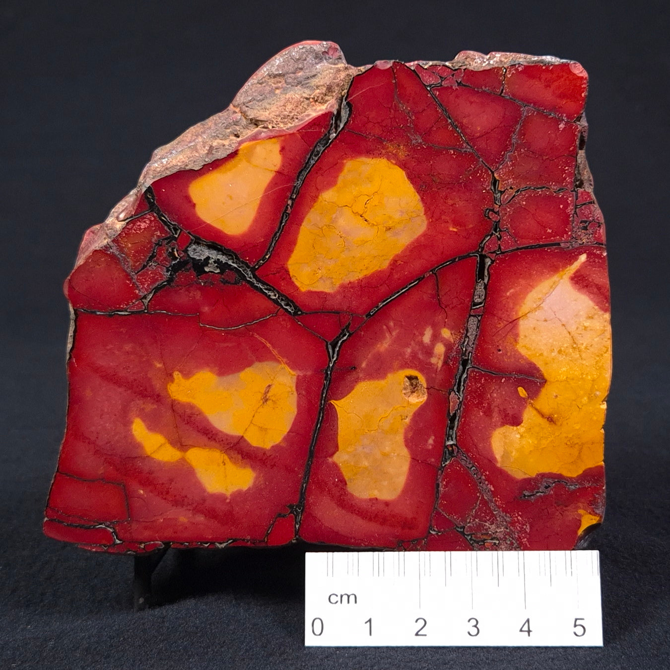 MOOKAITE, Australia YSC048
