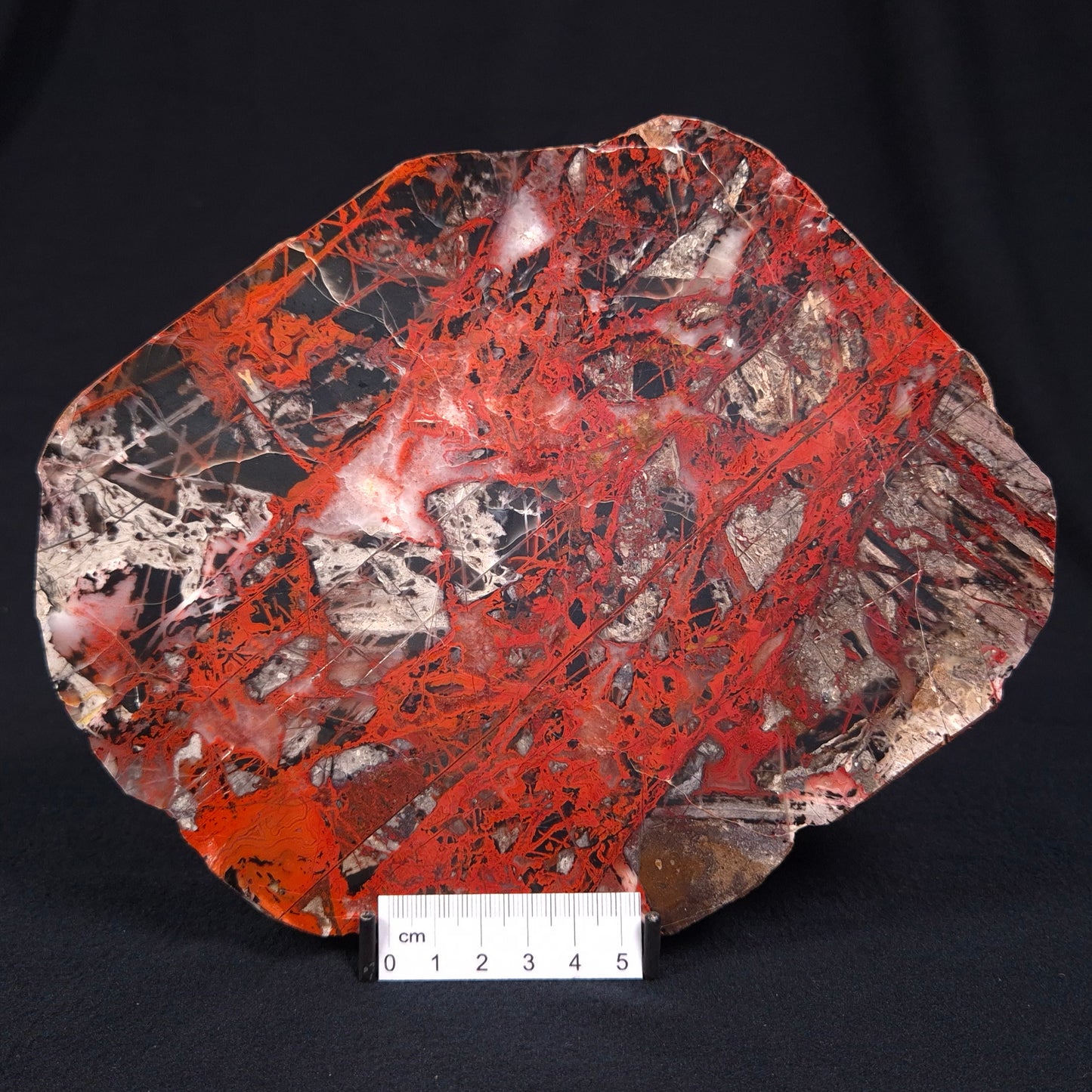 PILBARA PICASSO JASPER, Australia YSC049