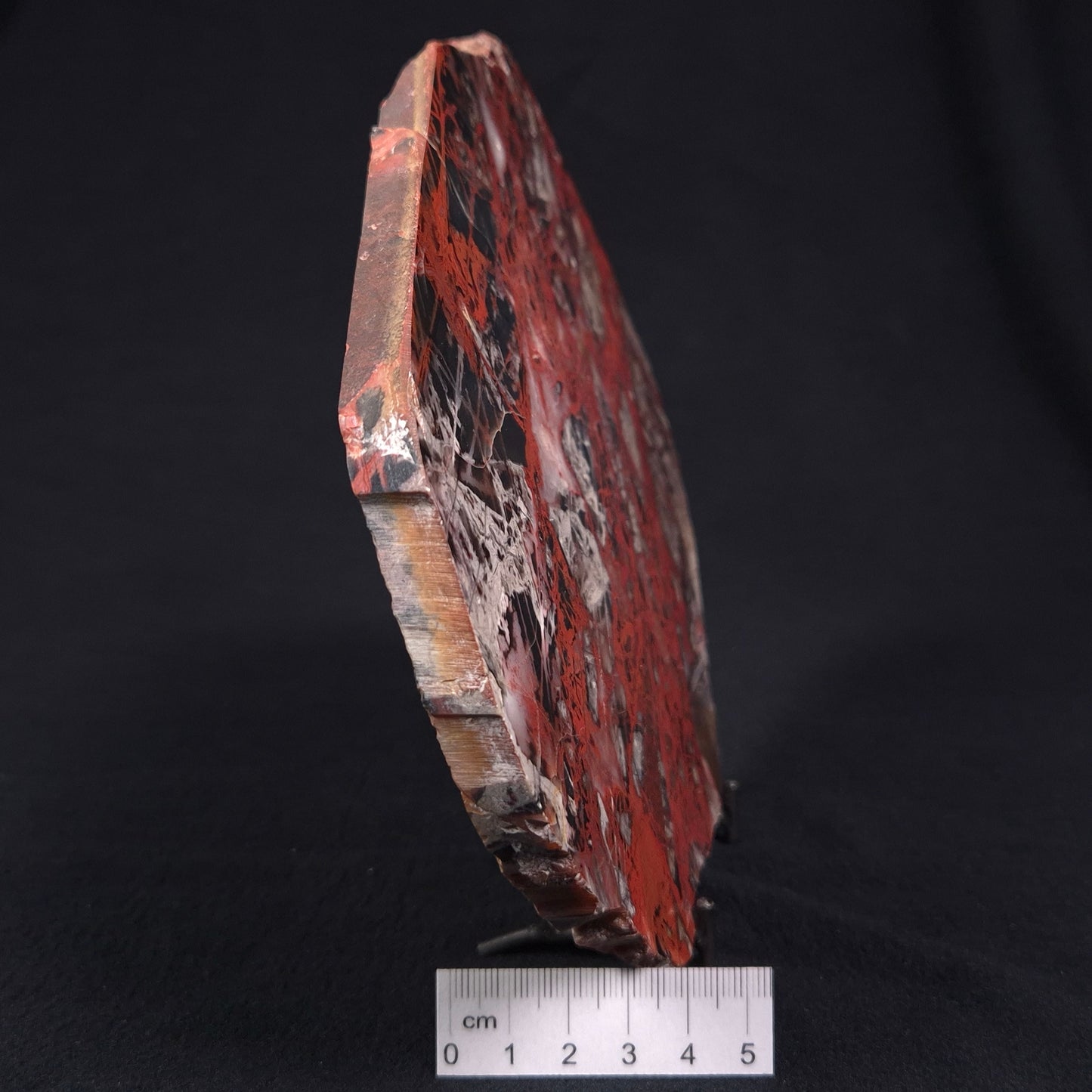 PILBARA PICASSO JASPER, Australia YSC049