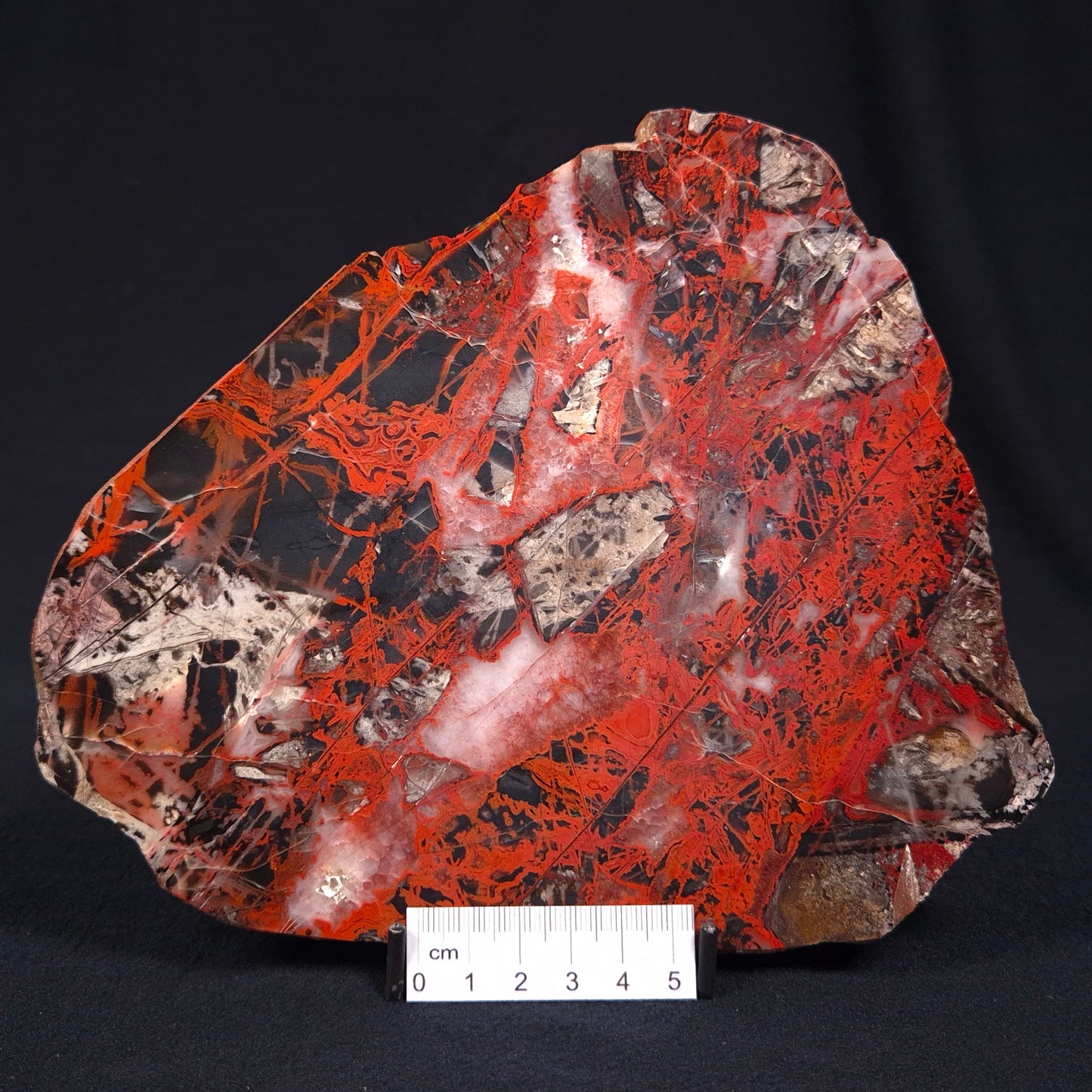 PILBARA PICASSO JASPER, Australia YSC050