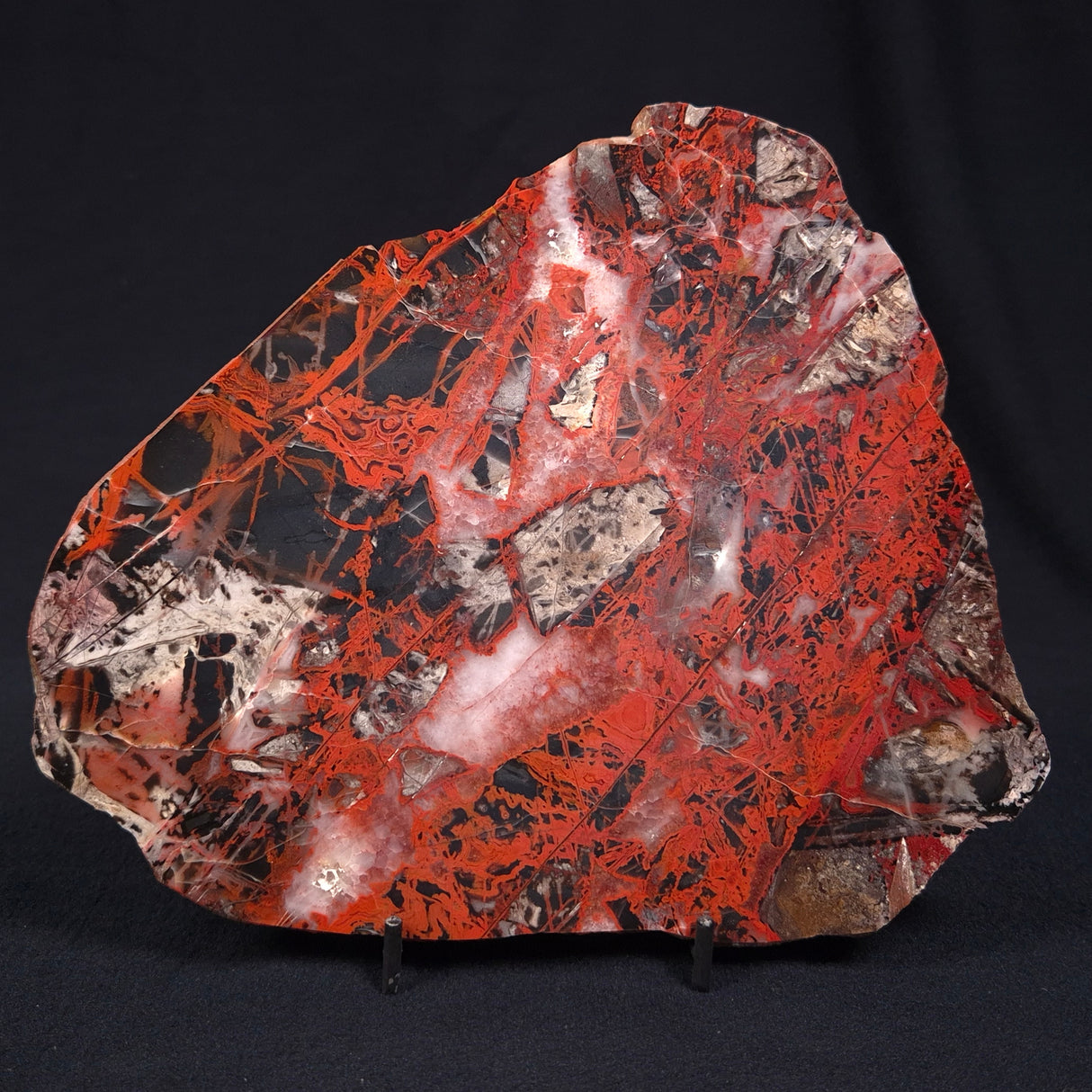 PILBARA PICASSO JASPER, Australia YSC050