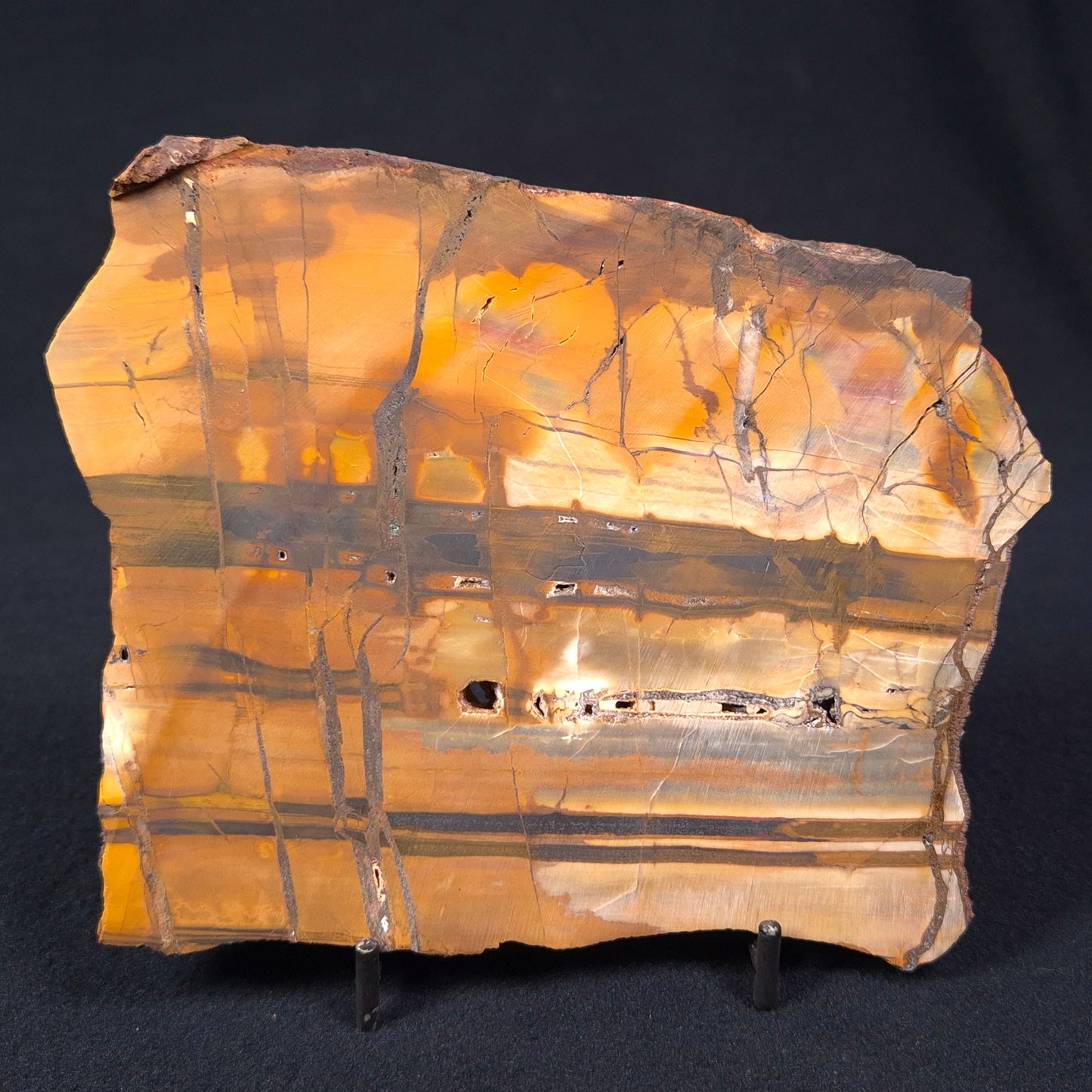 Banded Tiger Iron from Australia Polished YSC051