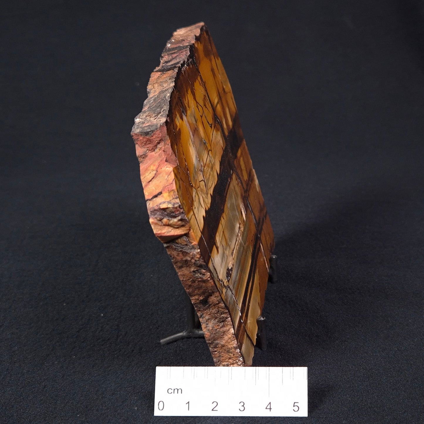 Banded Tiger Iron from Australia Polished YSC051