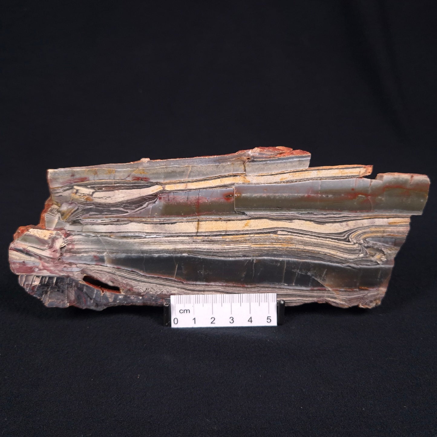 STROMATOLITE, Jerrinah Formation, Proterozoic, Australia ZJF004