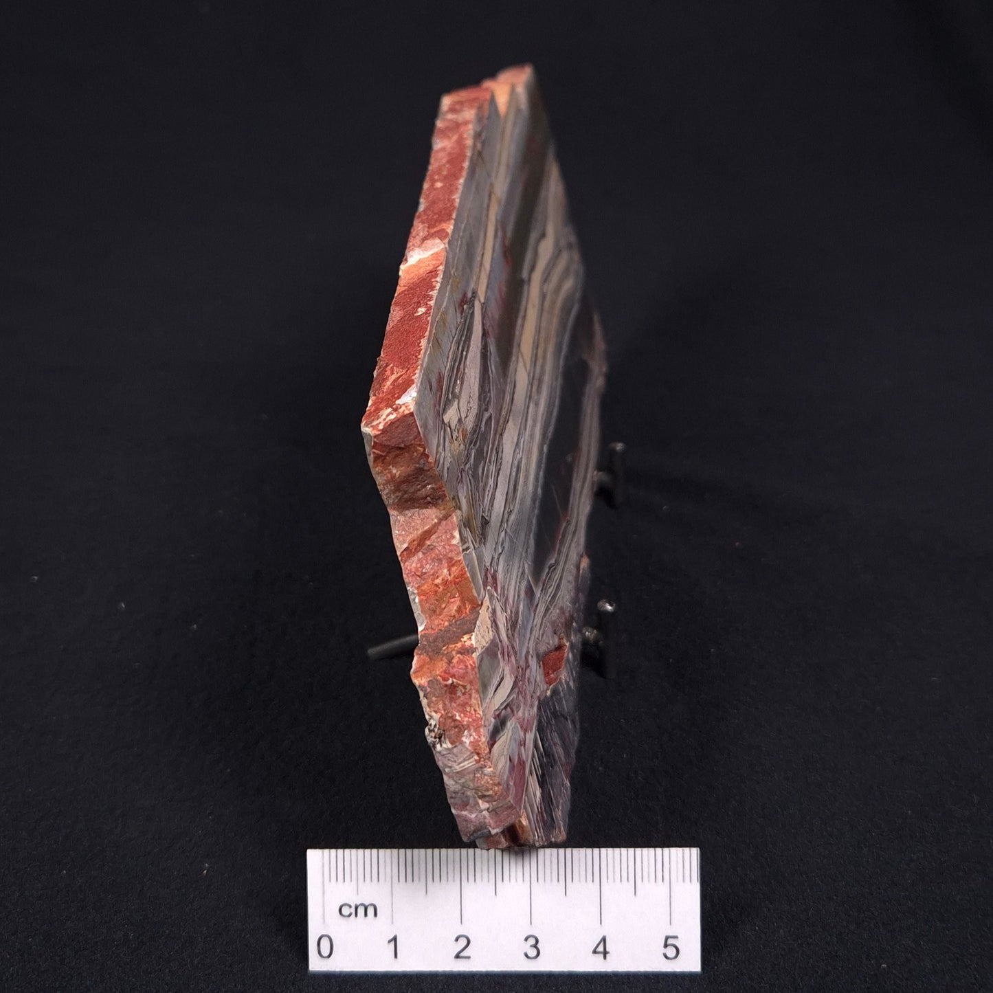 STROMATOLITE, Jerrinah Formation, Proterozoic, Australia ZJF004