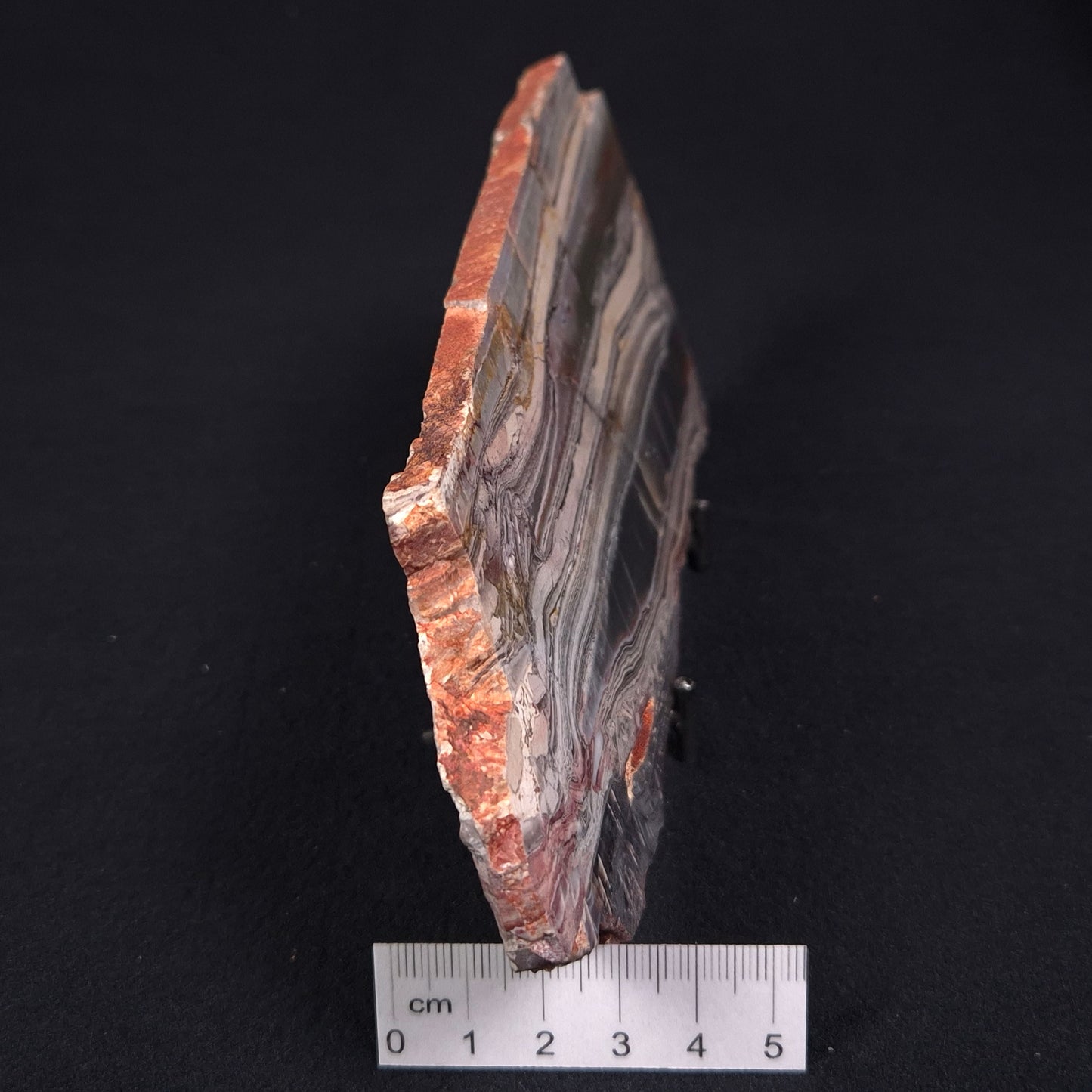 STROMATOLITE, Jerrinah Formation, Proterozoic, Australia ZJF005