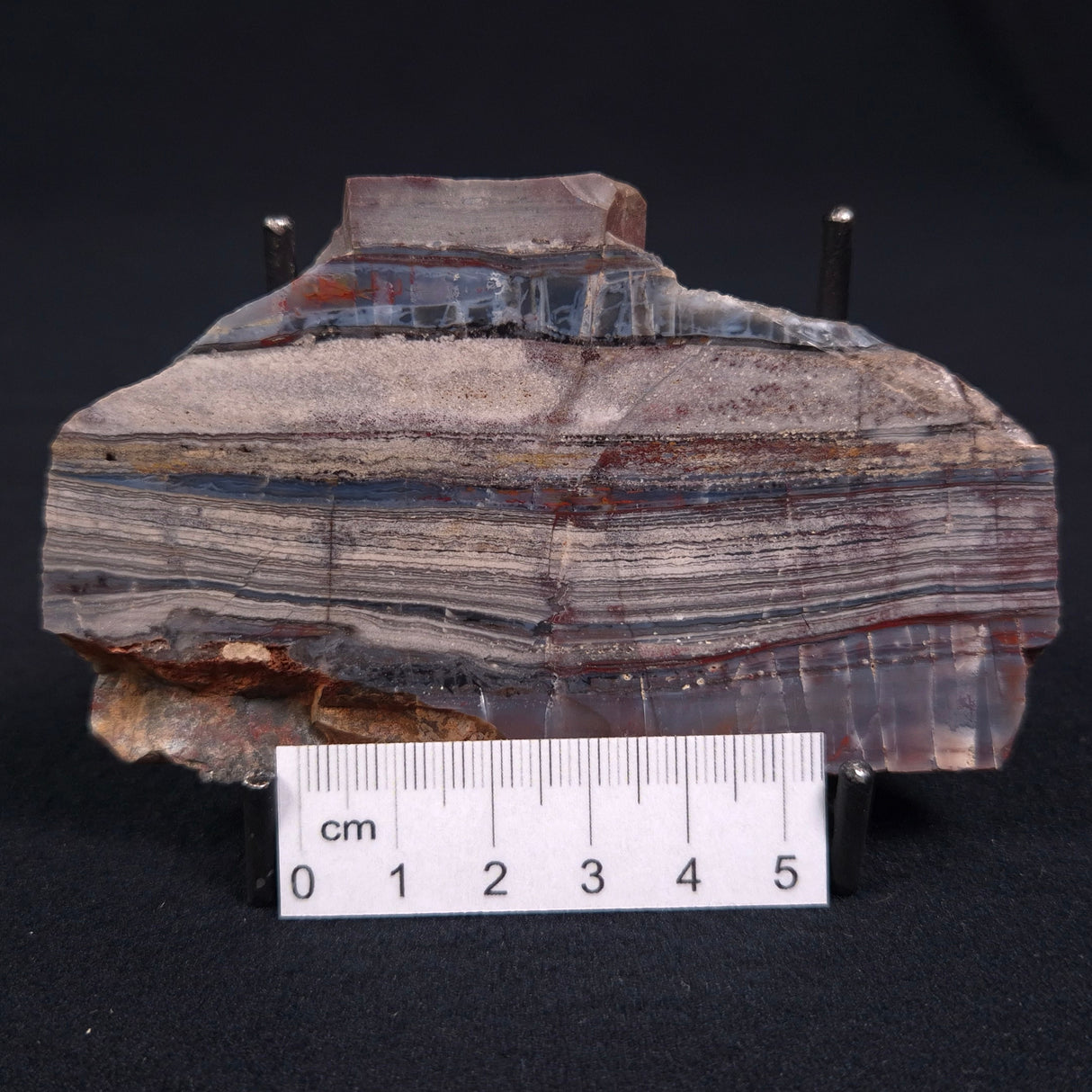STROMATOLITE, Jerrinah Formation, Proterozoic, Australia ZJF007