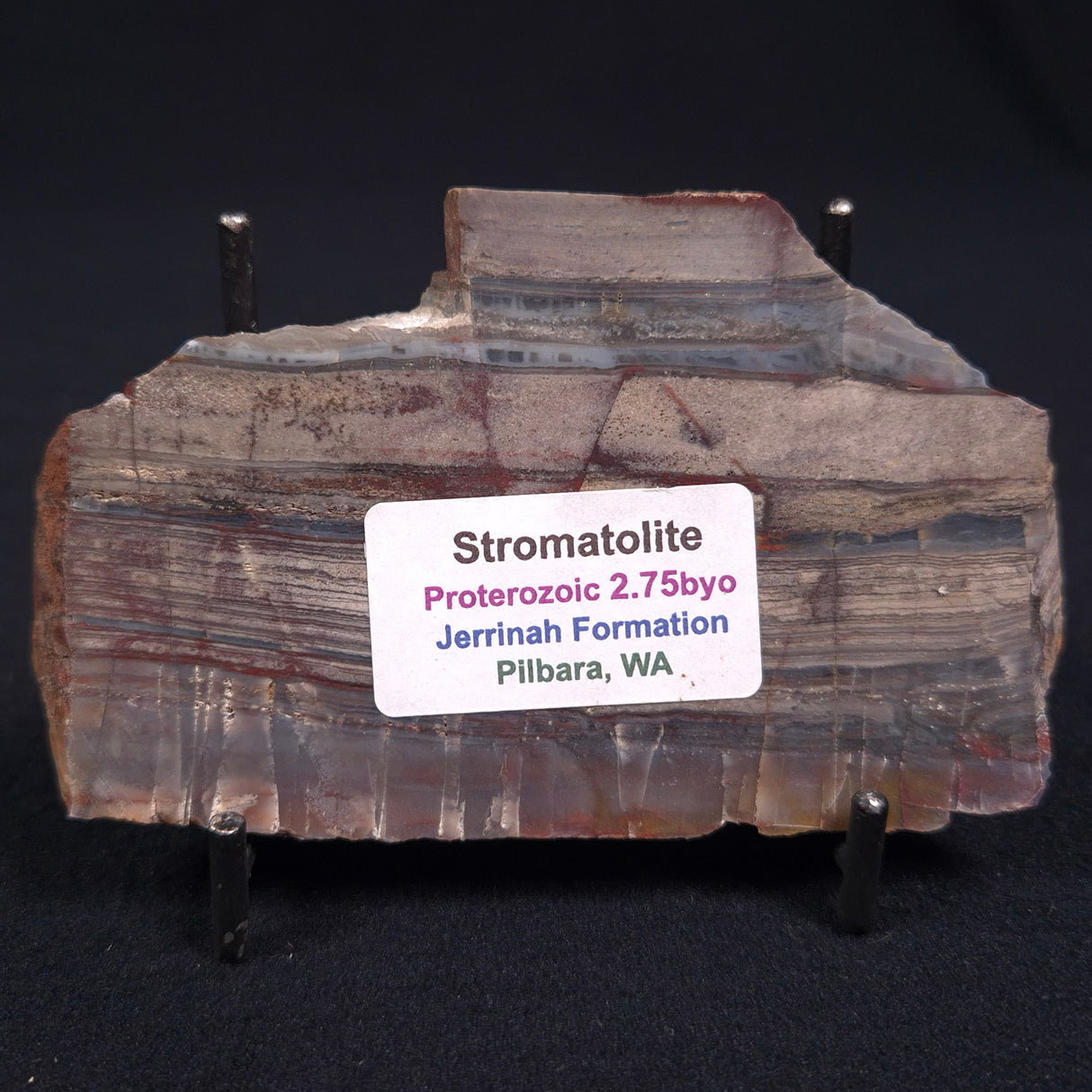 STROMATOLITE, Jerrinah Formation, Proterozoic, Australia ZJF007
