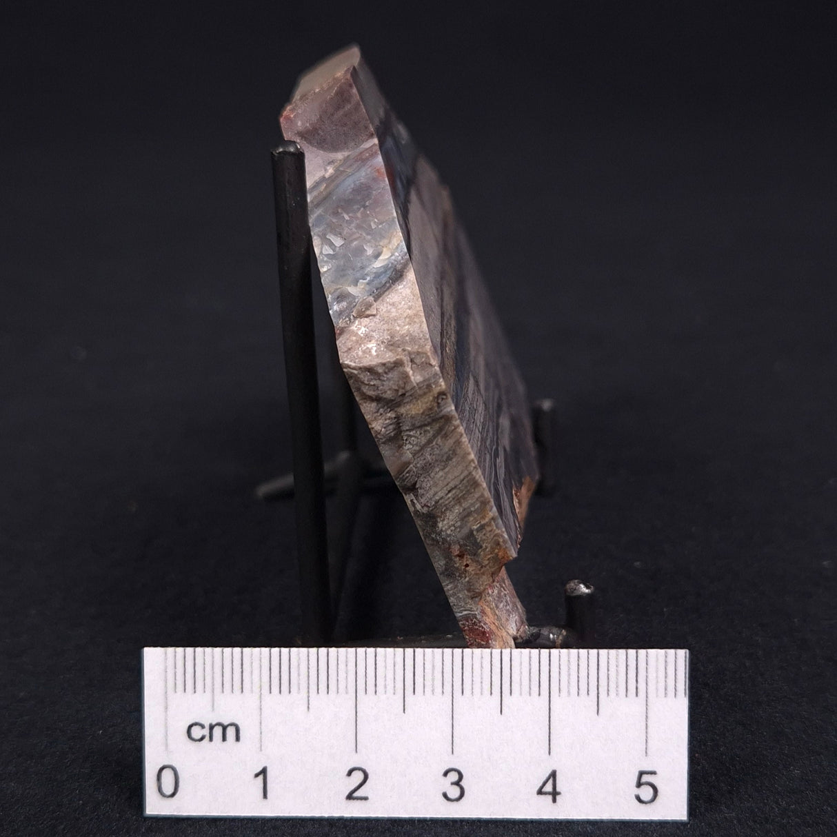 STROMATOLITE, Jerrinah Formation, Proterozoic, Australia ZJF007