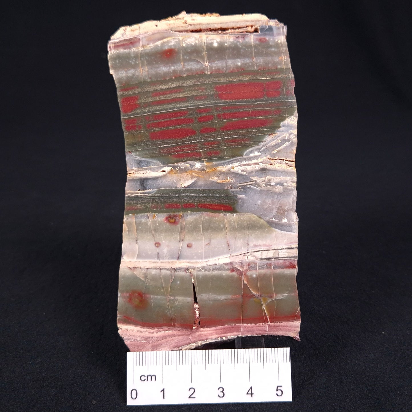 STROMATOLITE, Jerrinah Formation, Proterozoic, Australia ZJF012