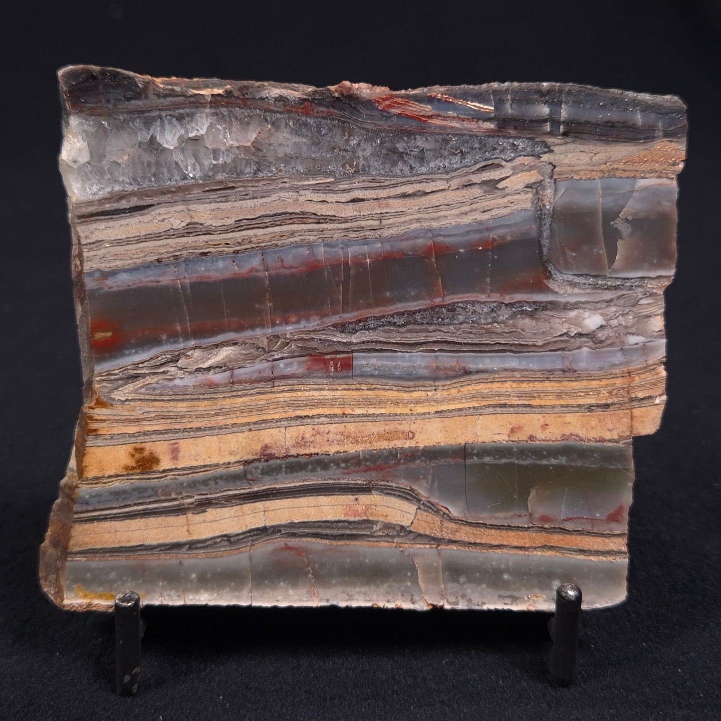 STROMATOLITE, Jerrinah Formation, Proterozoic, Australia ZJF013