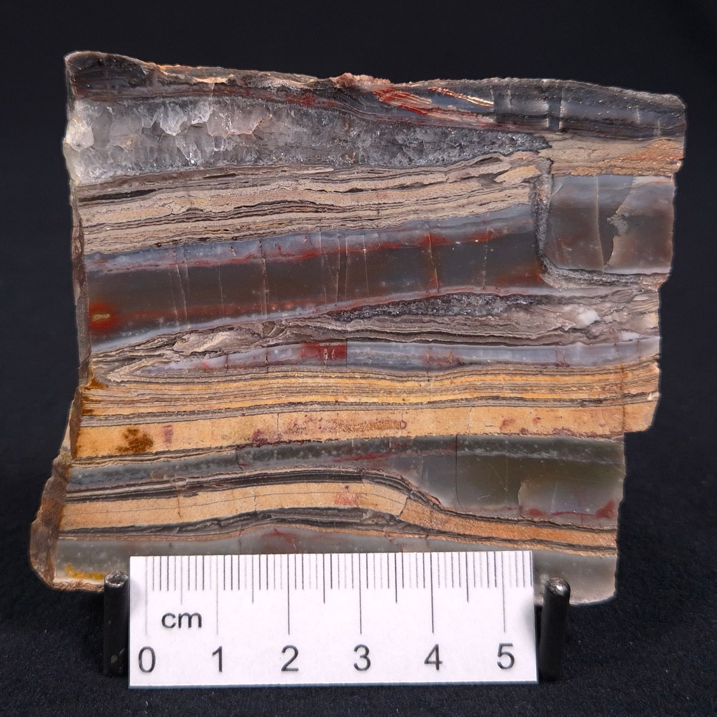 STROMATOLITE, Jerrinah Formation, Proterozoic, Australia ZJF013