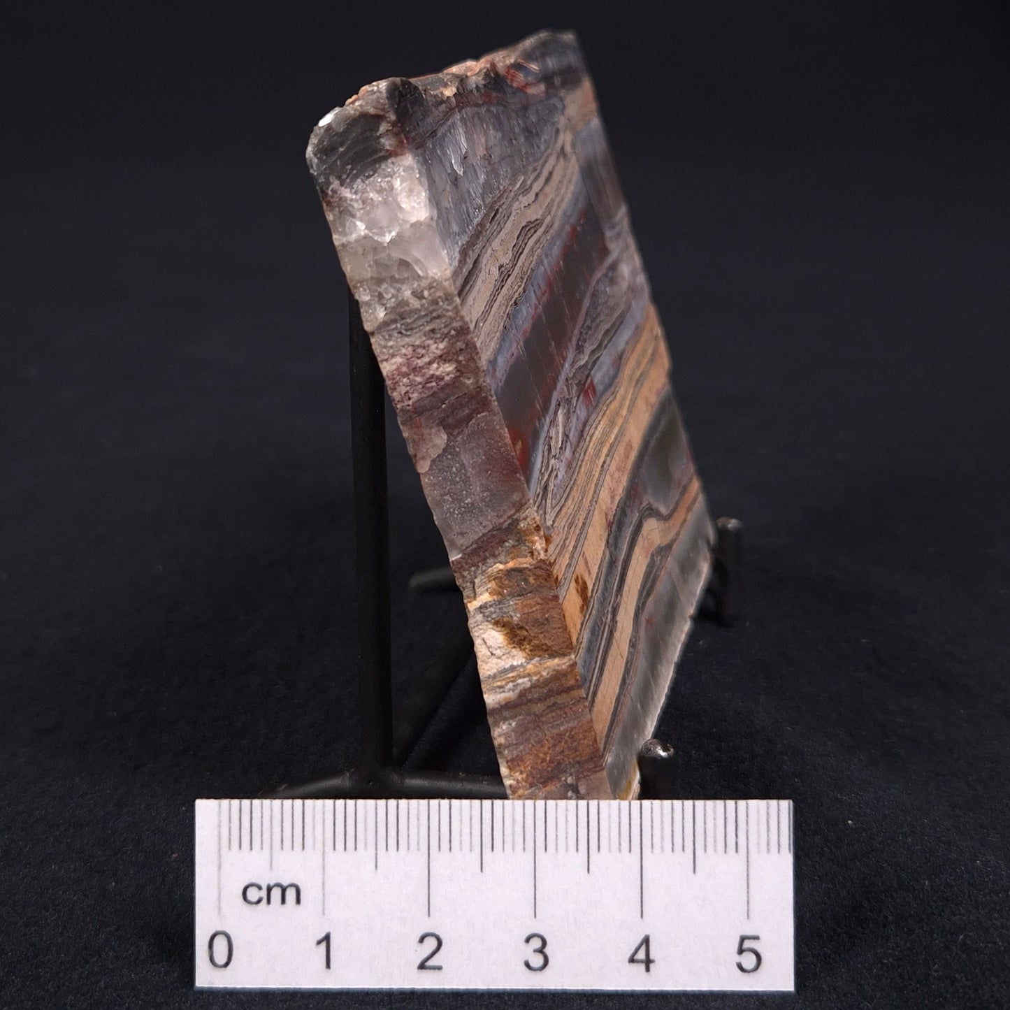 STROMATOLITE, Jerrinah Formation, Proterozoic, Australia ZJF013