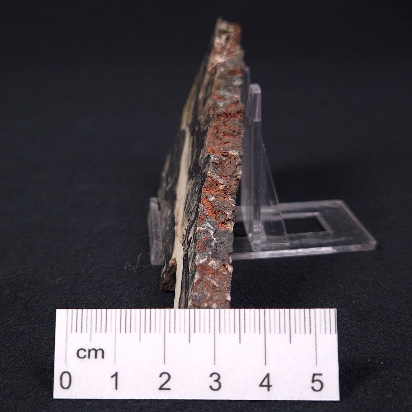 STROMATOLITE MICROBIAL MAT, Archean, Dresser Formation, Australia ZDF002