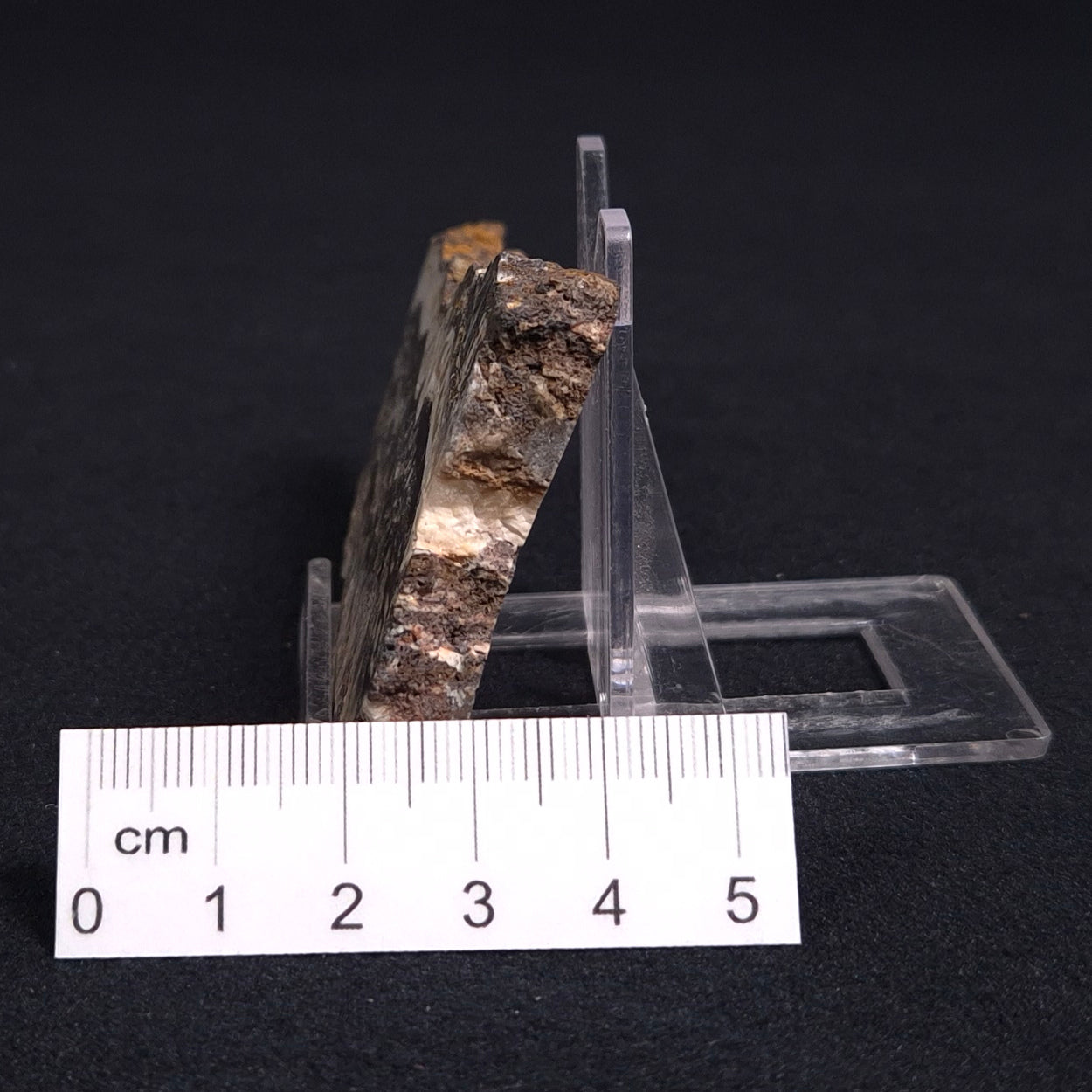 STROMATOLITE MICROBIAL MAT, Archean, Dresser Formation, Australia ZDF007