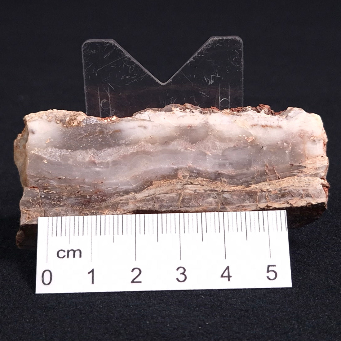 STROMATOLITE MICROBIAL MAT, Archean, Dresser Formation, Australia ZDF008