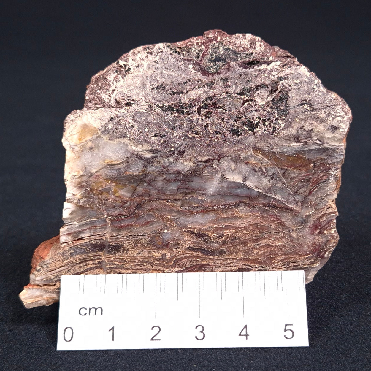 STROMATOLITE MICROBIAL MAT, Archean, Dresser Formation, Australia ZDF009
