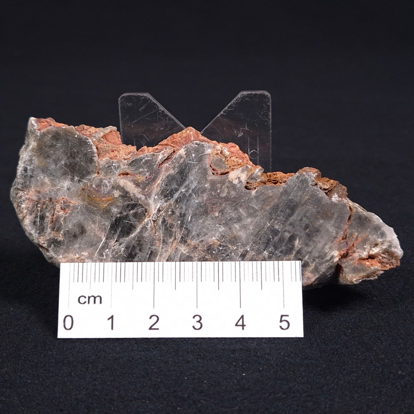 STROMATOLITE MICROBIAL MAT, Archean, Dresser Formation, Australia ZDF010