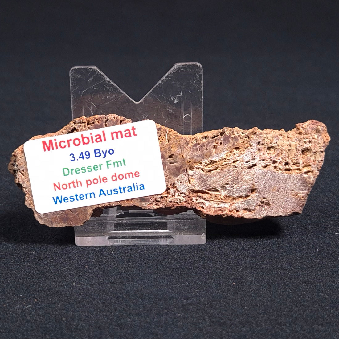 STROMATOLITE MICROBIAL MAT, Archean, Dresser Formation, Australia ZDF012