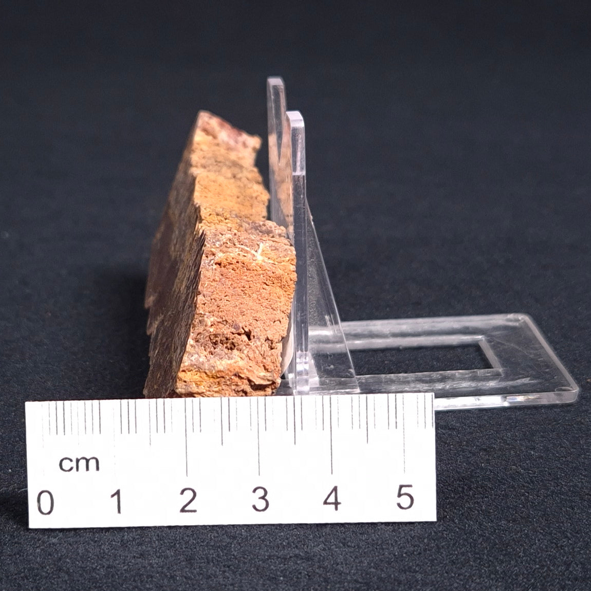 STROMATOLITE MICROBIAL MAT, Archean, Dresser Formation, Australia ZDF012