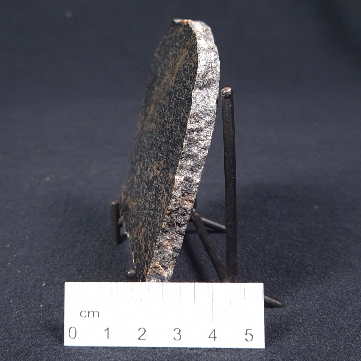 ACASTA GNEISS "OLDEST ROCK IN THE WORLD", Late Hadean, Canada ZAG005