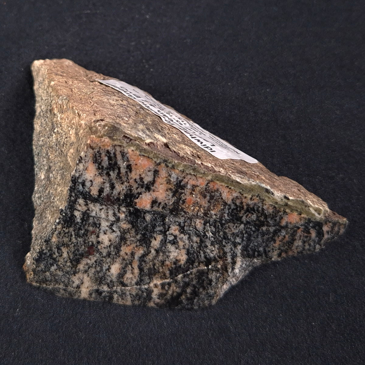 ACASTA GNEISS "OLDEST ROCK IN THE WORLD", Late Hadean, Canada ZAG006