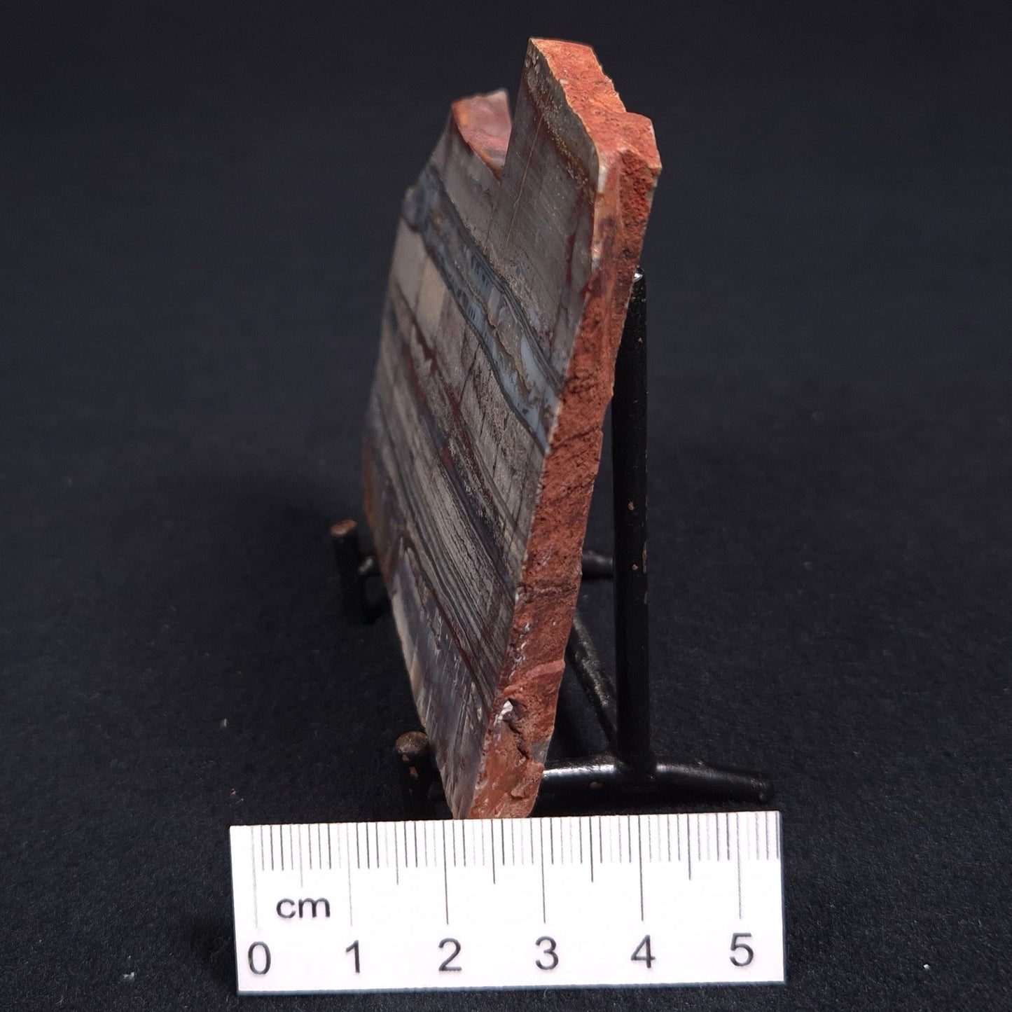 STROMATOLITE, Jerrinah Formation, Proterozoic, Australia ZJF014