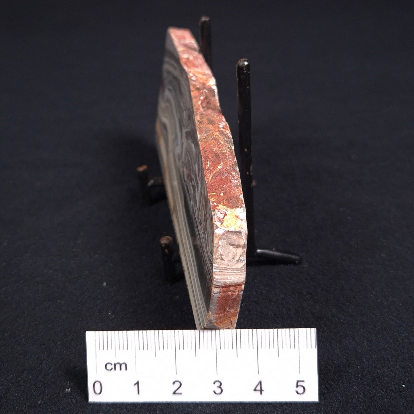 STROMATOLITE, Jerrinah Formation, Proterozoic, Australia ZJF015