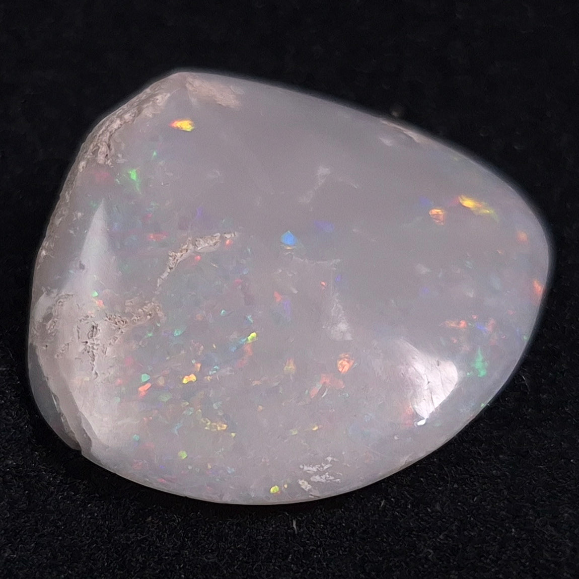 OPAL SHELL CYRENOPSIS sp. Cretaceous, Australia YOS003