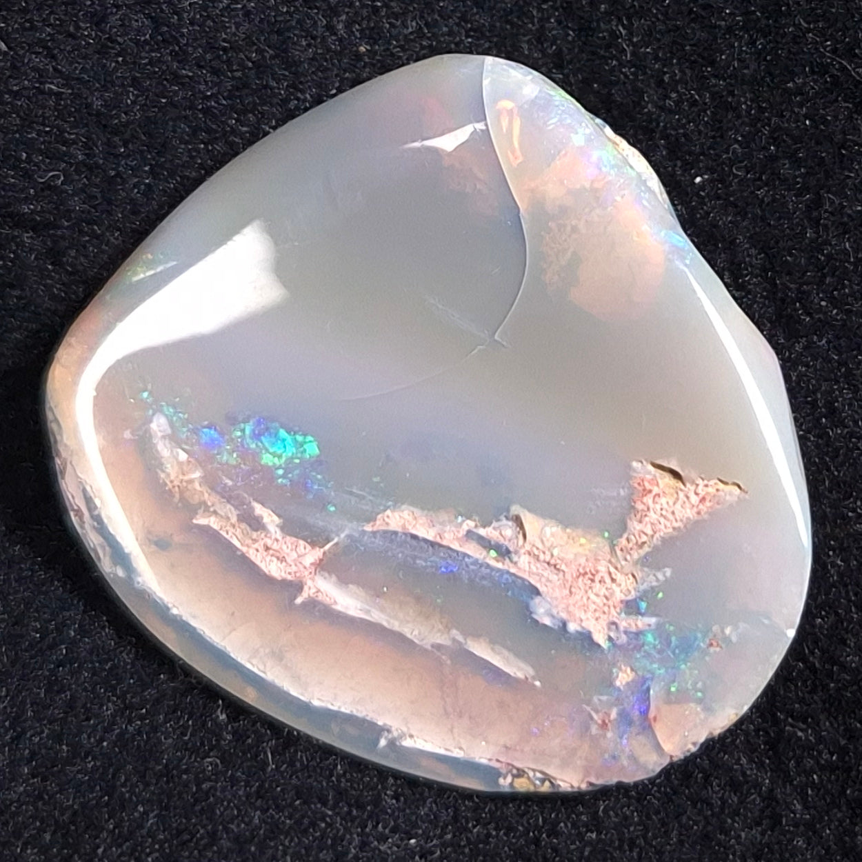 OPAL SHELL CYRENOPSIS sp. Cretaceous, Australia YOS004