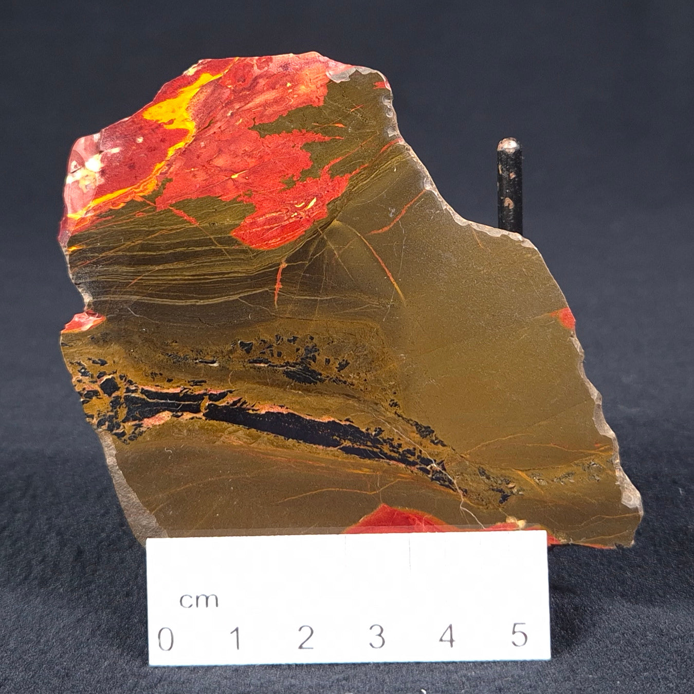 MARRA MAMBA TIGER EYE STROMATOLITE, Archean, Australia YSC058