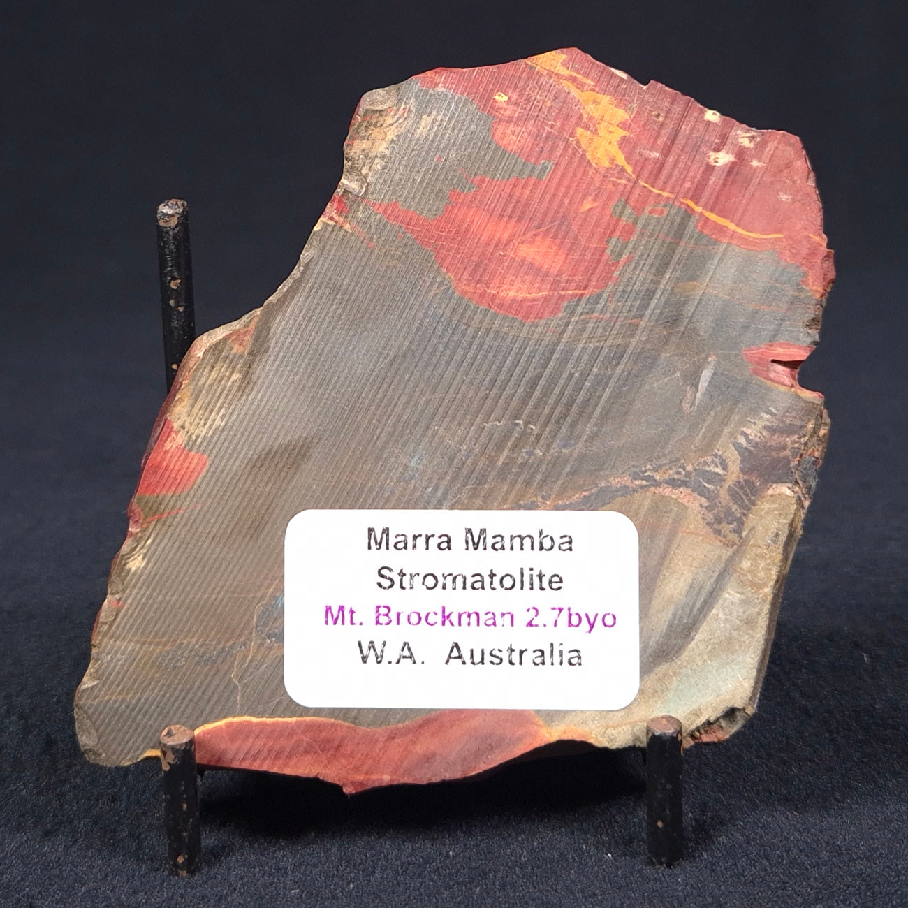 MARRA MAMBA TIGER EYE STROMATOLITE, Archean, Australia YSC058