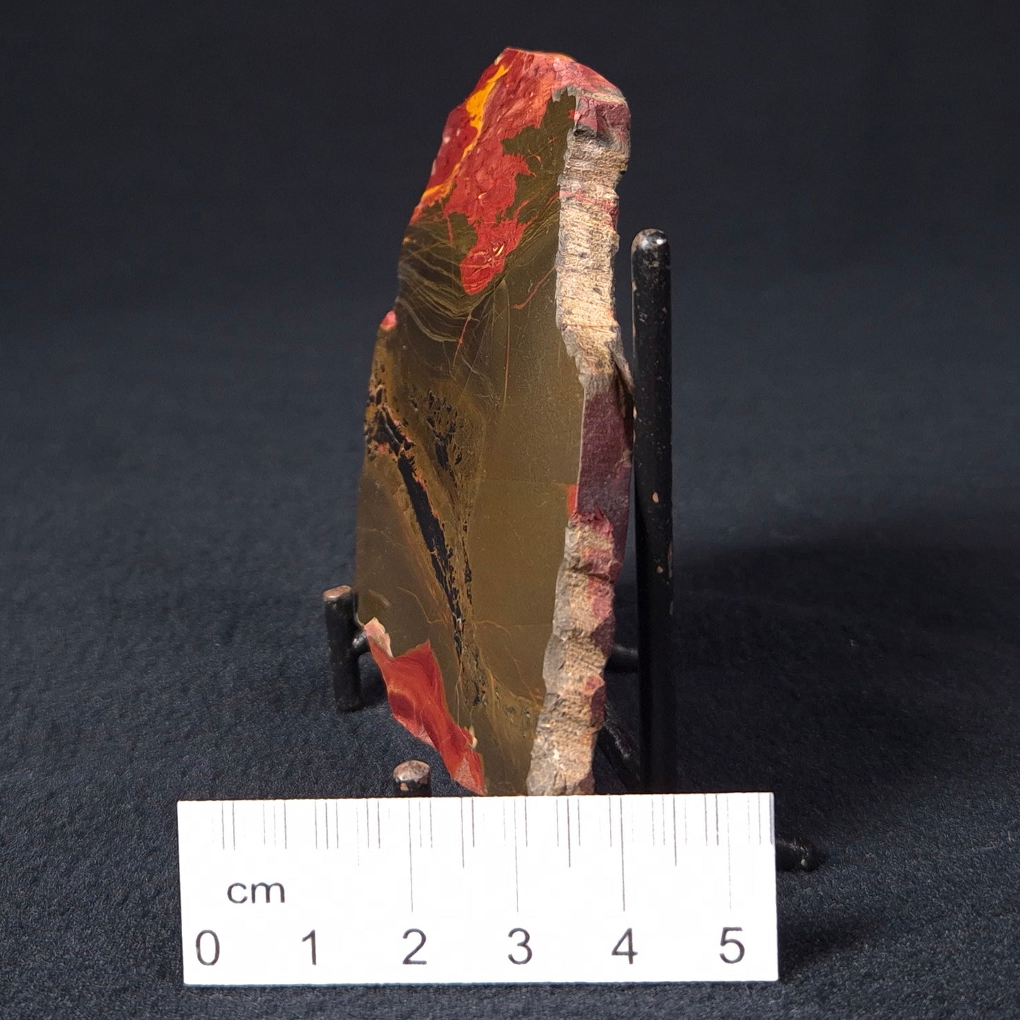 MARRA MAMBA TIGER EYE STROMATOLITE, Archean, Australia YSC058