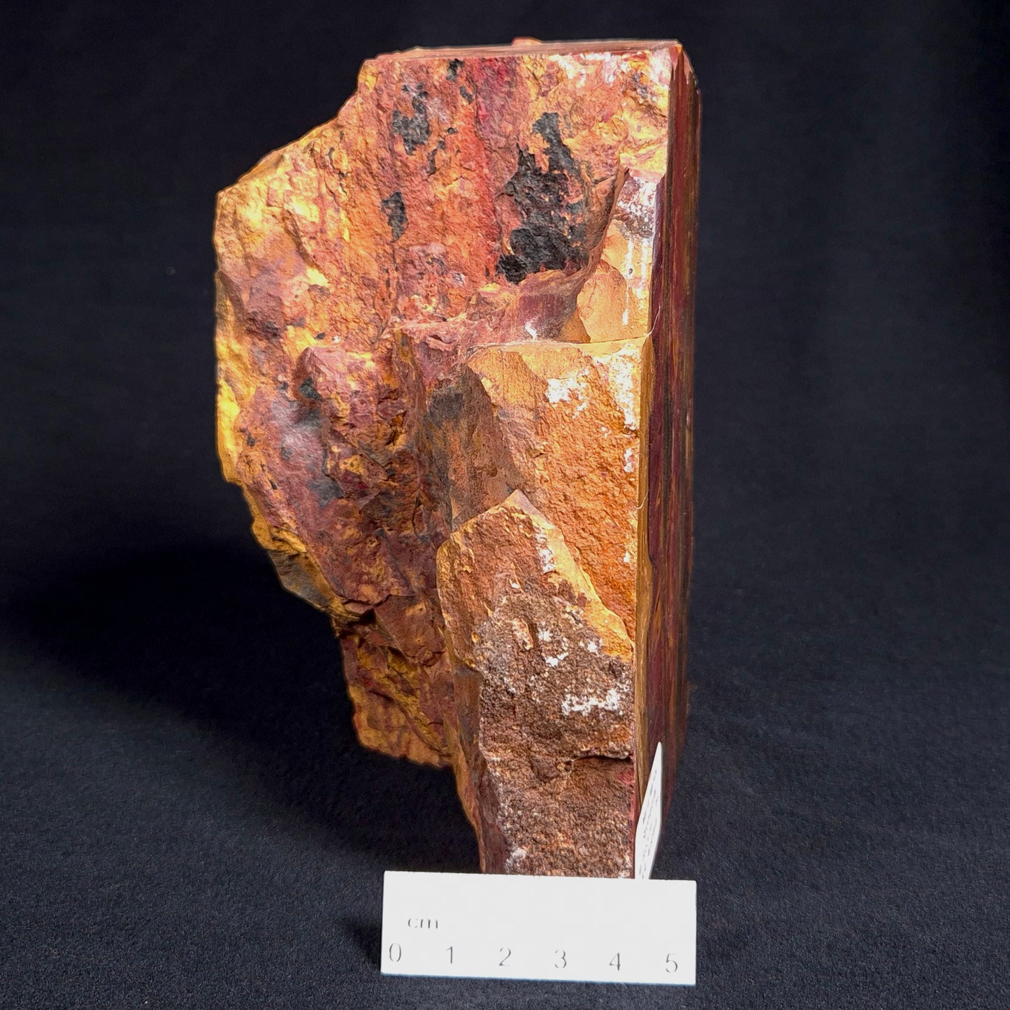 MARRA MAMBA TIGER EYE STROMATOLITE, Archean, Australia YSC063