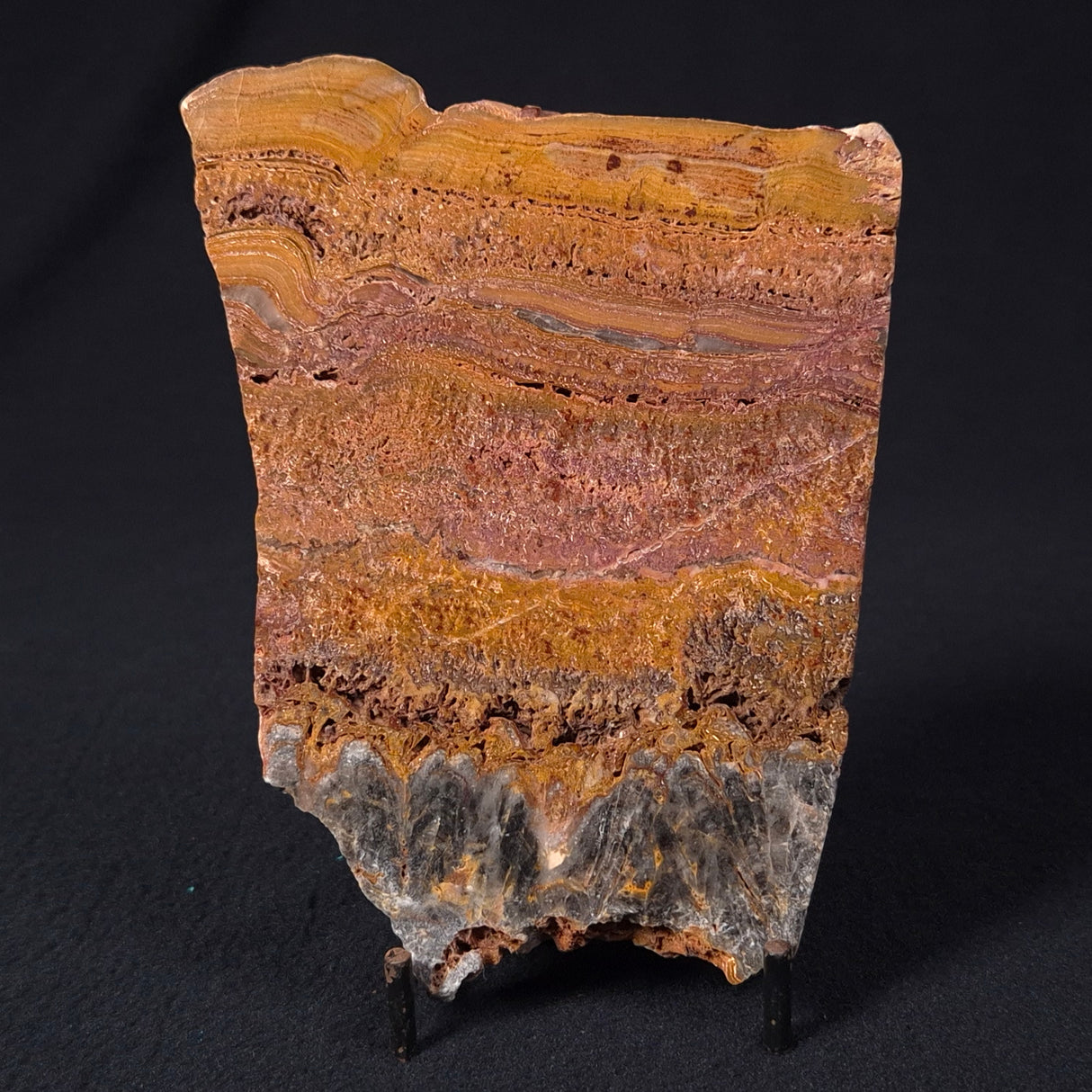STROMATOLITE MICROBIAL MAT, Archean, Dresser Formation, Australia ZDF013