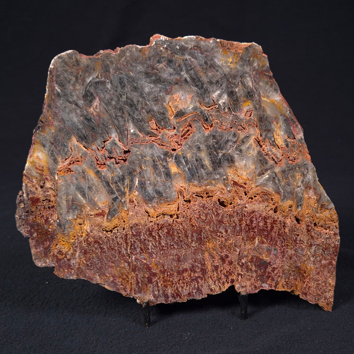 STROMATOLITE MICROBIAL MAT, Archean, Dresser Formation, Australia ZDF014