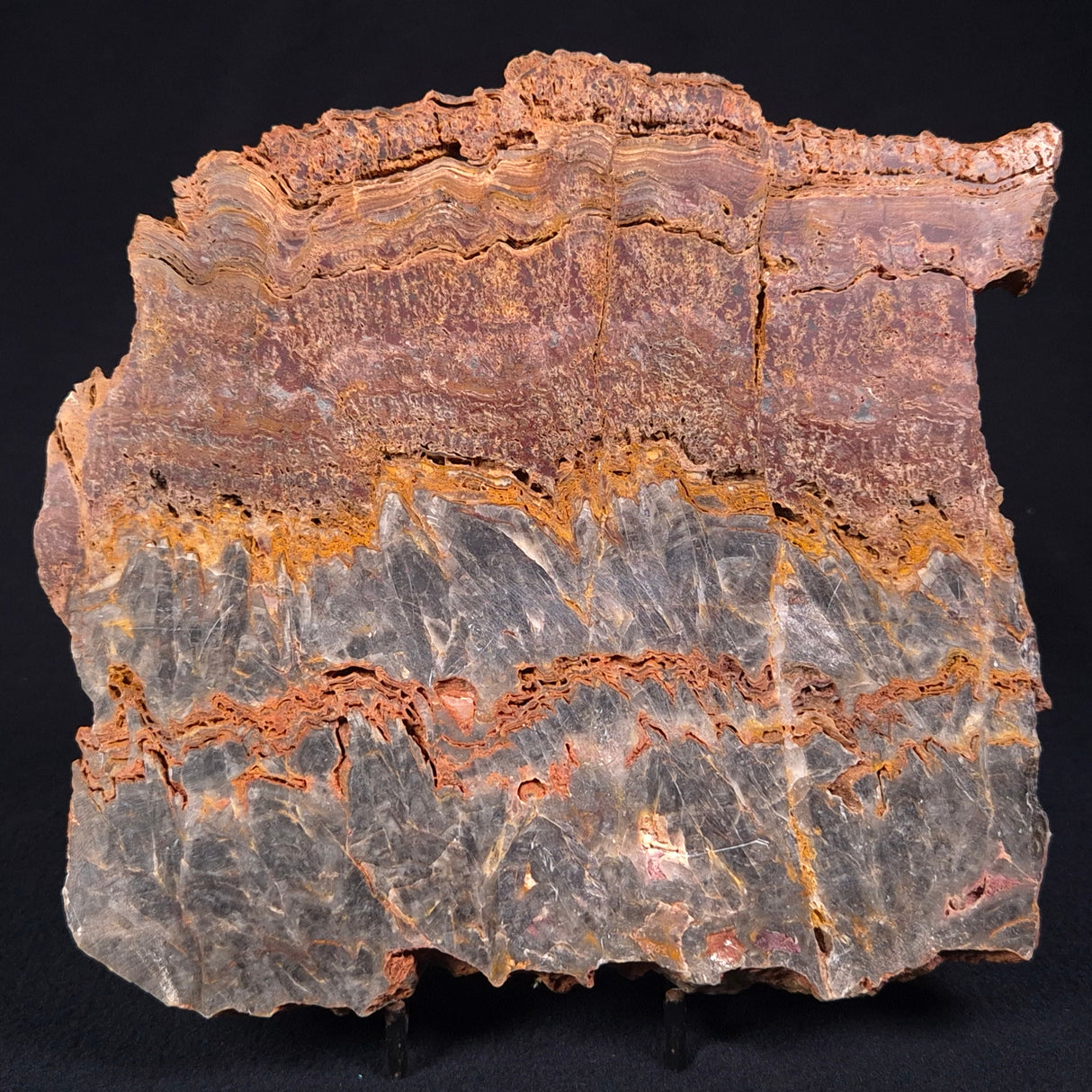 STROMATOLITE MICROBIAL MAT, Archean, Dresser Formation, Australia ZDF015
